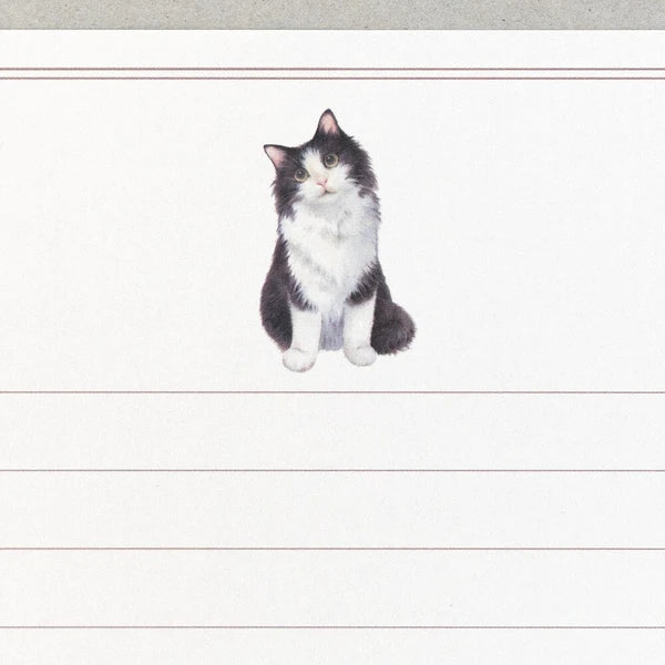 Minou ポール